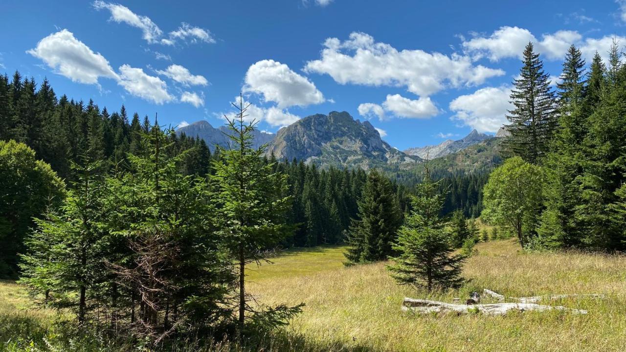 Vista Pitomine Villa Žabljak Екстериор снимка